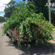 Source: Chicopee Police Department